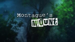 Montague’s Mount Crack+torrent– SKIDROW